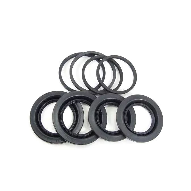 GiroDisc CCRK2-097 - Caliper Rebuild Kit, For 1 Caliper