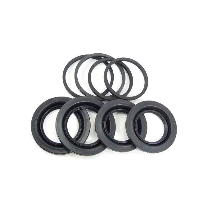 GiroDisc CCRK2-172 - Caliper Rebuild Kit, For 1 Caliper