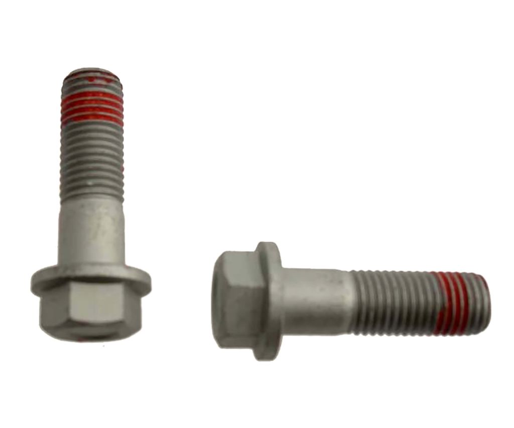 Raybestos H17045 - Pro Replacement Caliper Bolts