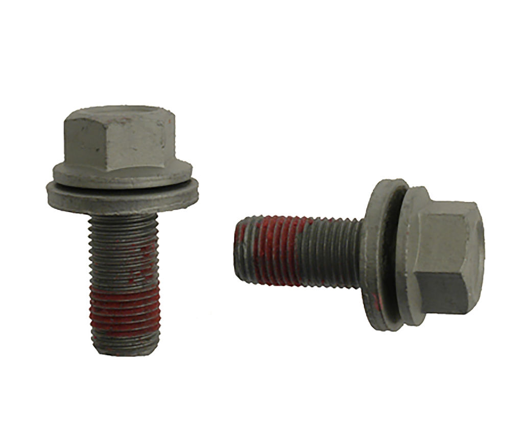 Raybestos H17047 - Pro Replacement Caliper Bolts