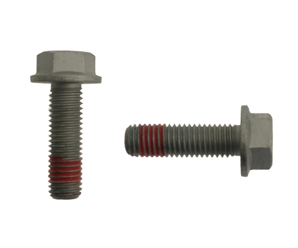 Raybestos H17048 - Pro Replacement Caliper Bolts