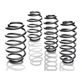 Eibach Pro-Kit Performance Spring Kit