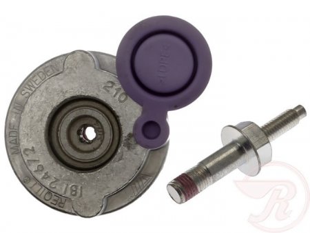 Raybestos Disc Brake Low Frequency Noise Damper