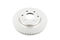 DBA DBA3128E - Smooth-Plain Street Enshield Coated Brake Rotor
