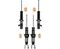 Eibach Shock Set